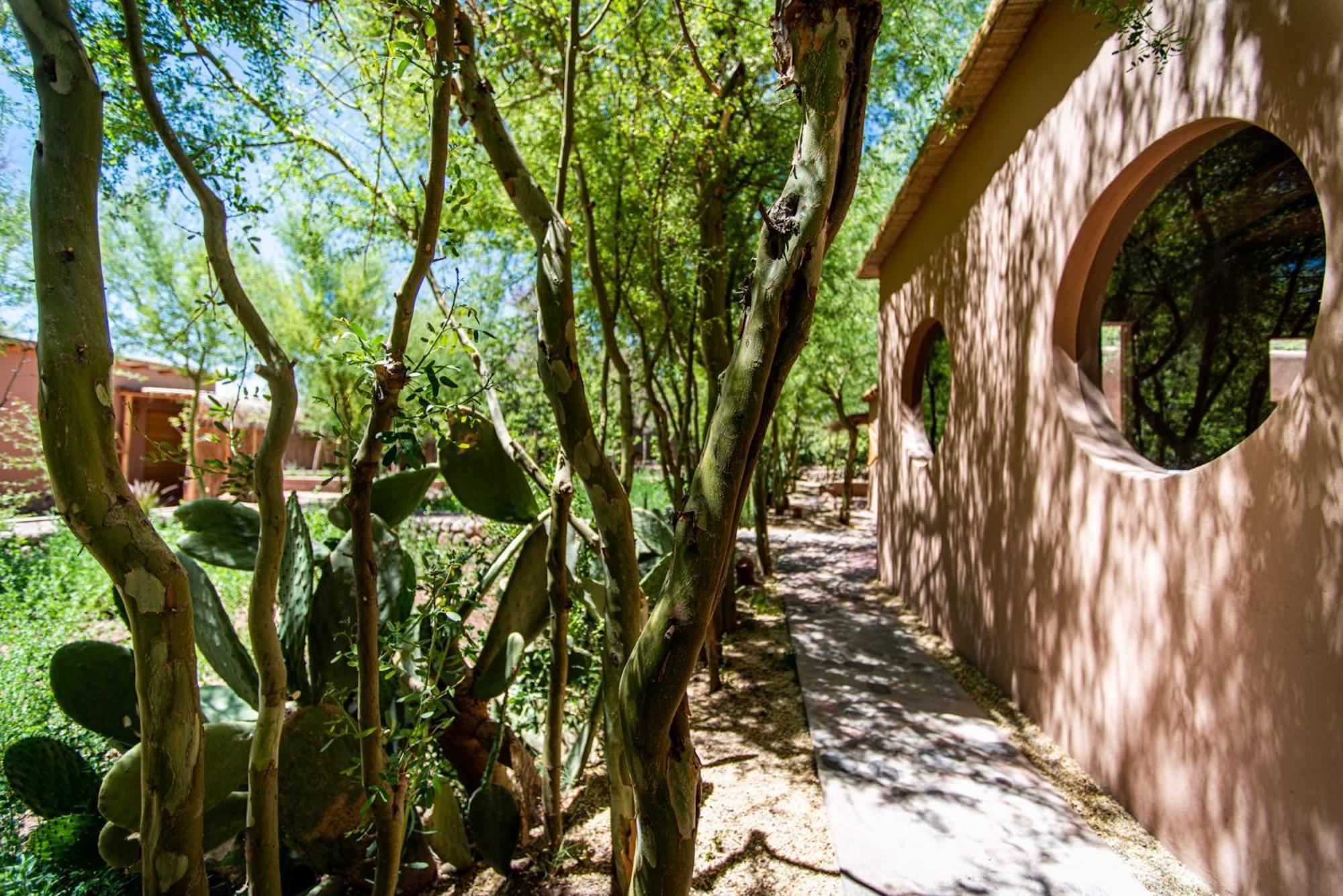 Naturalis Hotel San Pedro de Atacama Exterior foto